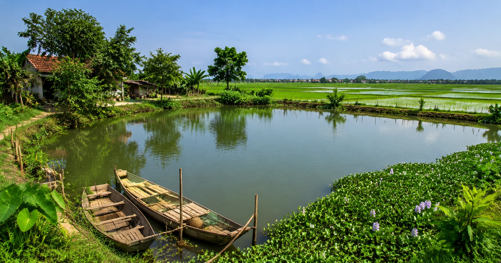 Những Điều Cần Biết Về chuyển nhượng đất ao Trong Thị Trường Bất Động Sản Việt Nam - image 1 Những Điều Cần Biết Về chuyển nhượng đất ao Trong Thị Trường Bất Động Sản Việt Nam - image 1
