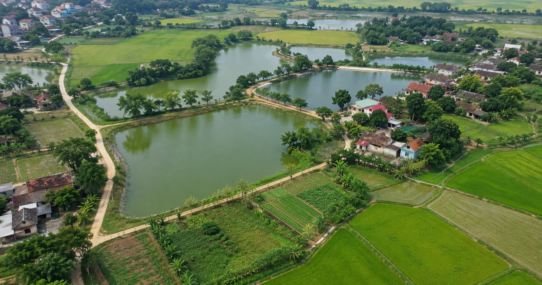 Những Điều Cần Biết Về chuyển nhượng đất ao Trong Thị Trường Bất Động Sản Việt Nam - image 2 Những Điều Cần Biết Về chuyển nhượng đất ao Trong Thị Trường Bất Động Sản Việt Nam - image 2